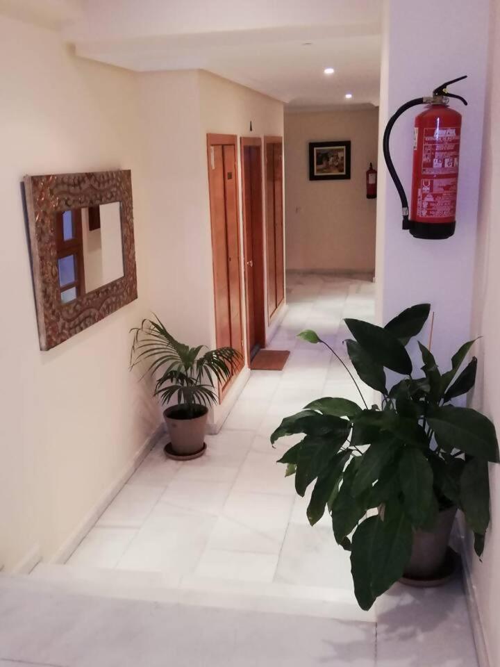 La Dama Del Jardin Del Nuncio Apartment Toledo Exterior photo